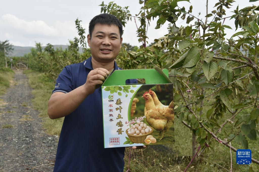 微信支付可提现老虎机